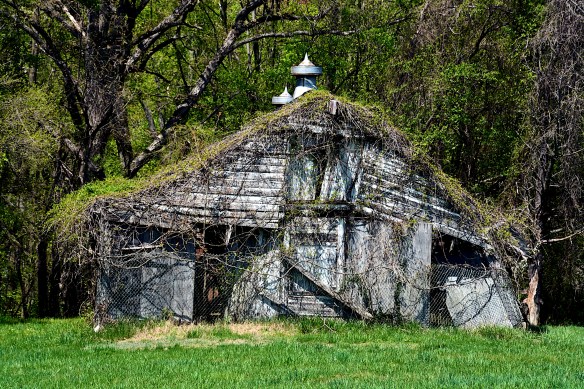 Lin and Michael's Photos