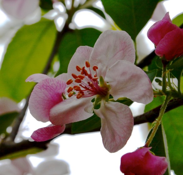 Lin and Michael's Photos