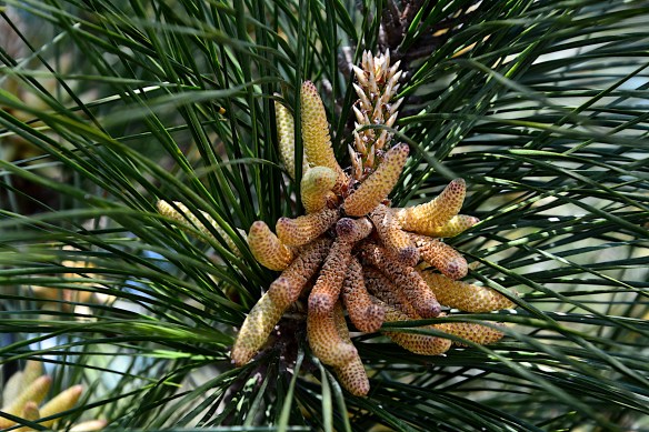 Lin and Michael's Photos