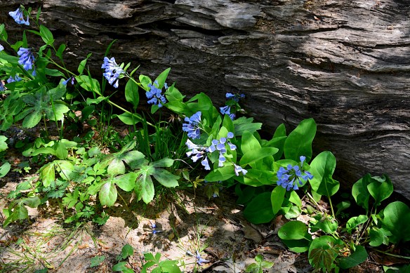 Lin and Michael's Photos