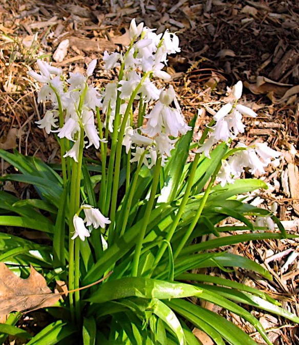 Lin and Michael's Photos 2012