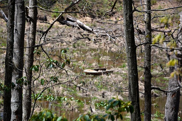 Lin and Michael's Photos