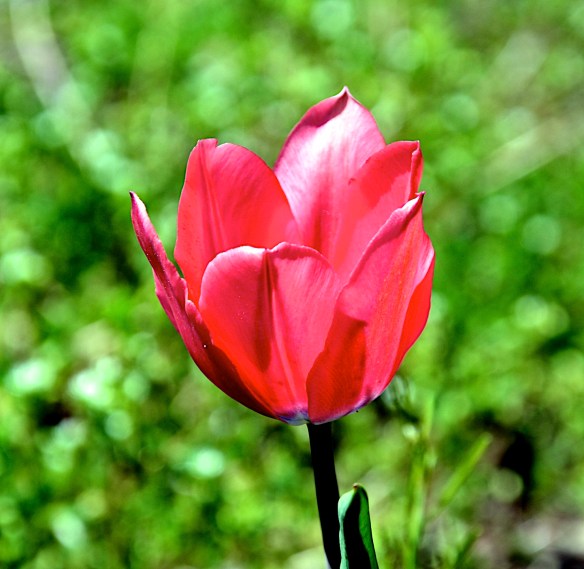 Lin and Michael's Photos