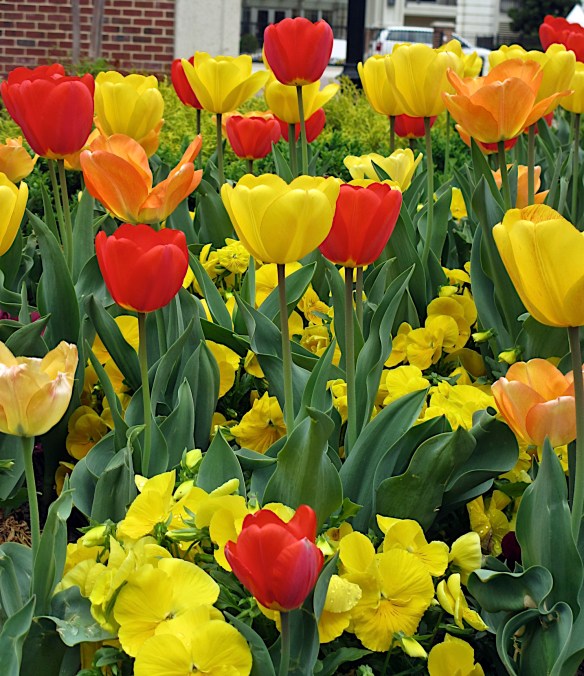 Lin and Michael's Photos