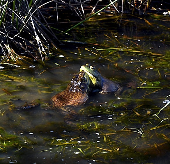 Lin and Michael's Photos