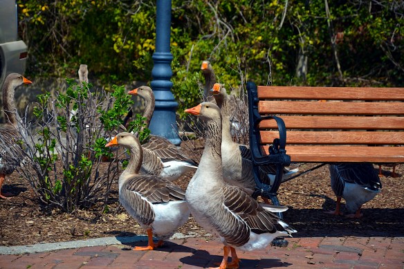 Lin and Michael's Photos