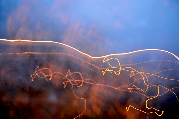 Lin and Michael's Photos