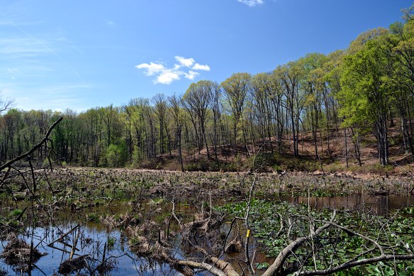 Lin and Michael's Photos