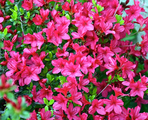 Lin and Michael's Photos