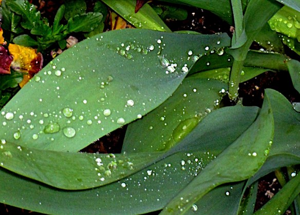 Lin and Michael's Photos