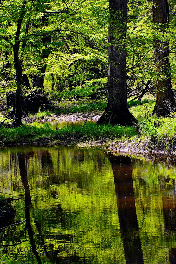 Lin an Michael's Photos