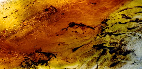 Lin and Michael's Photos