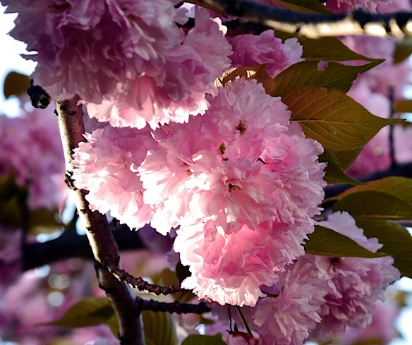 Lin and Michael's Photos