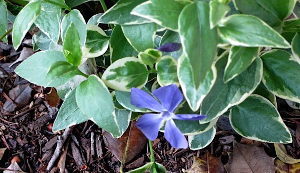 Lin and Michael's Photos