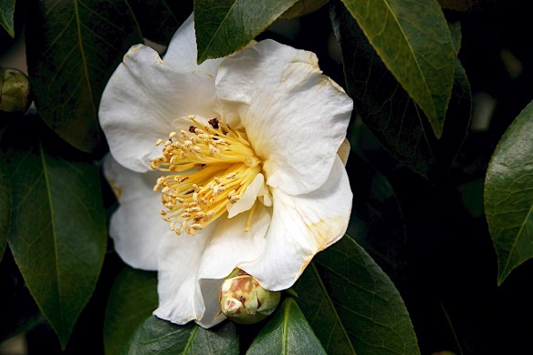 Lin and Michael's Photos