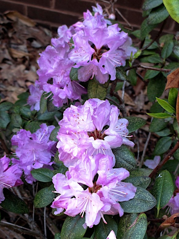 Lin and Michael's Photos