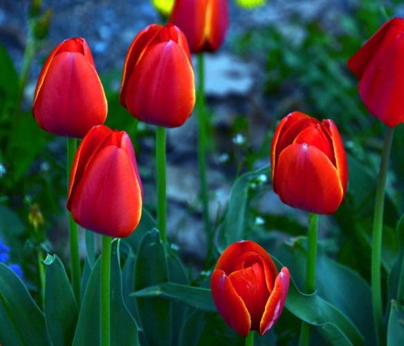 Lin and Michael's Photos