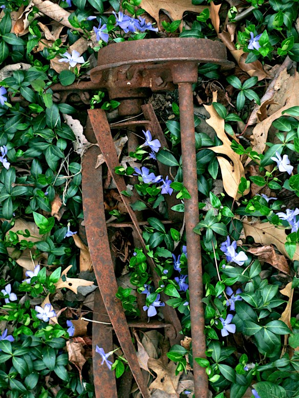 Lin and Michael's Photos