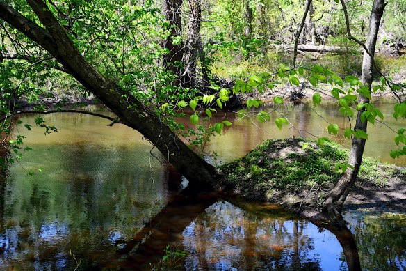 Lin and Michael's Photos 