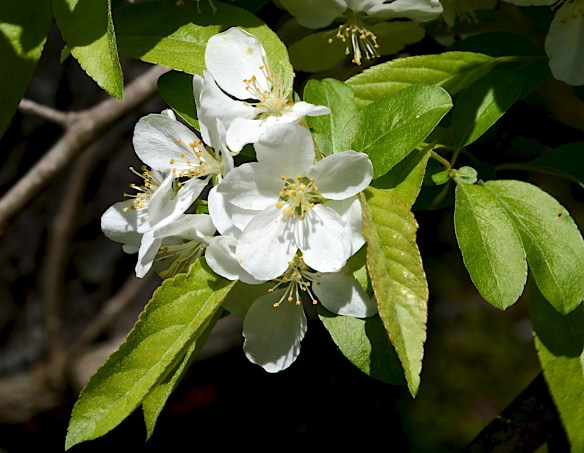 Lin and Michael's Photos