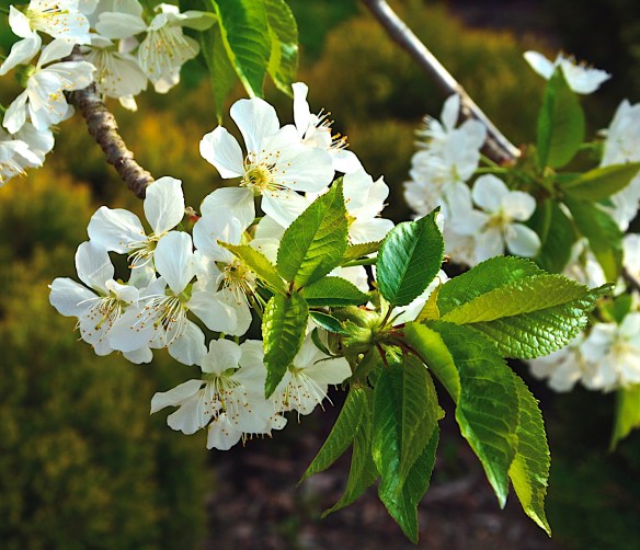 Lin and Michael's Photos