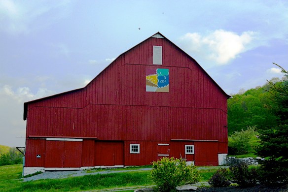 Lin and Michael's Photos