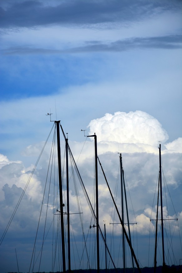 Lin and Michael's Photos