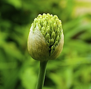 Lin and Michael's Photos