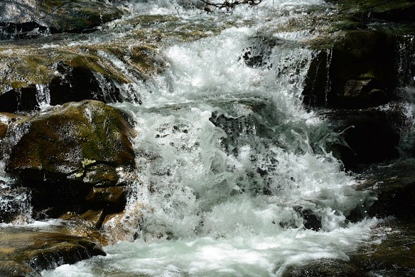 Lin and Michael's Photos