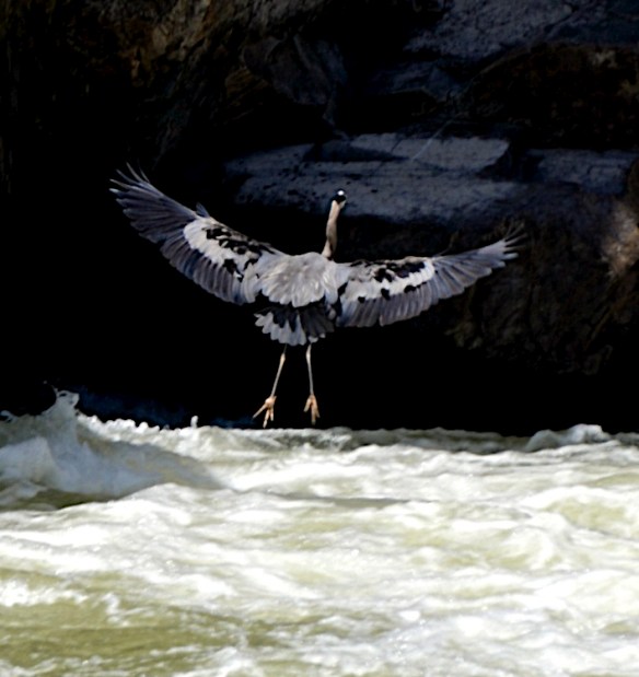 Lin and Michael's Photos