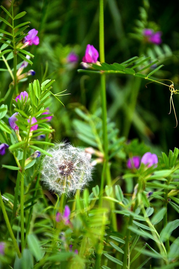 Lin and Michael's Photos