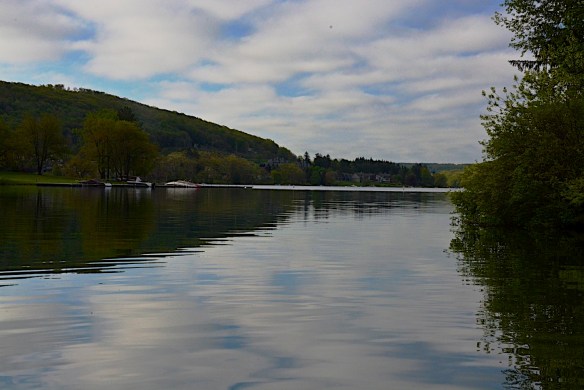 Lin and Michael's Photos