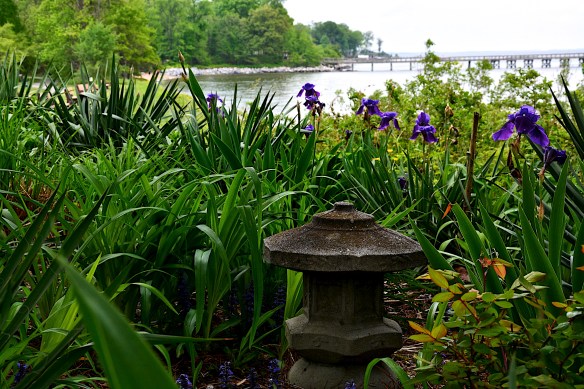 Lin and Michael's Photos