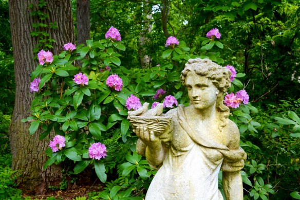 Lin and Michael's Photos