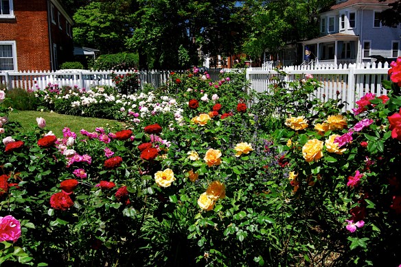 Lin and Michael's Photos