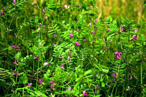 Lin and Michael's Photos