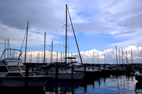 Lin and Michael's Photos