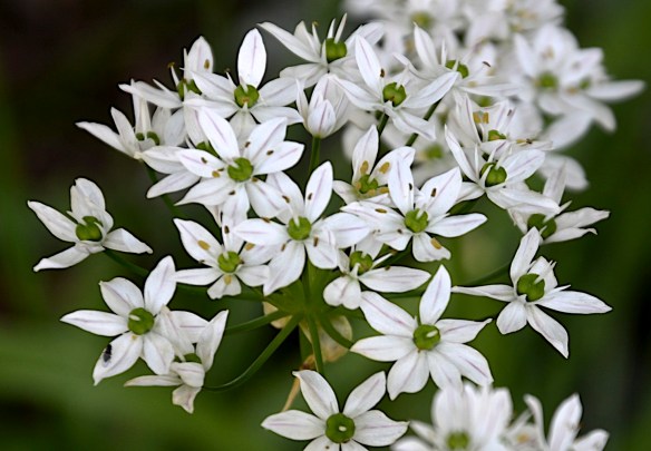 Lin and Michael's Photos