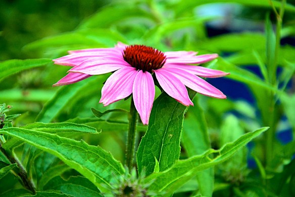 Lin and Michael's Photos