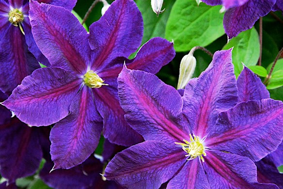 Lin and Michael's Photos