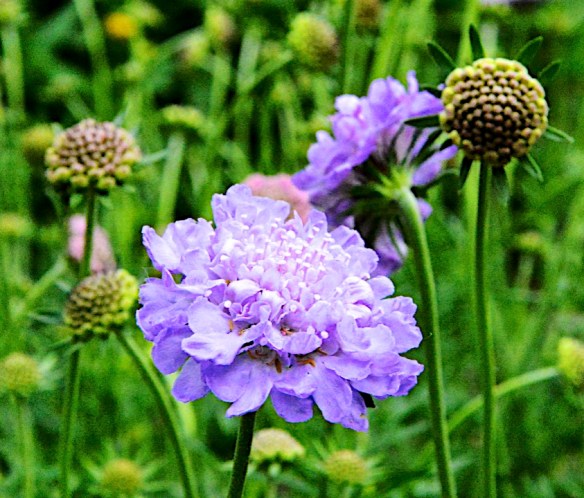 Lin and Michael's Photos