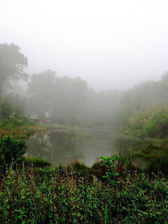 Lin and Michael's Photos