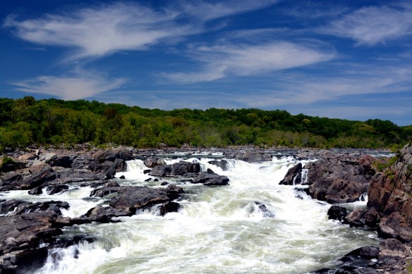 Lin and Michael's Photos