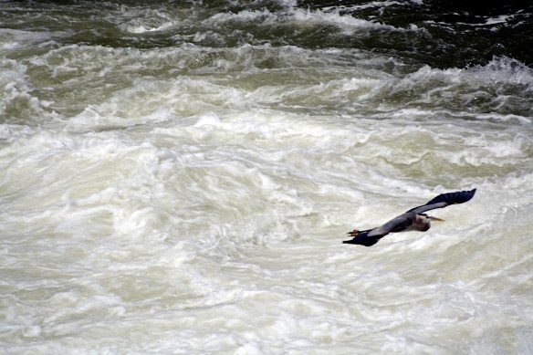 Lin and Michael's Photos