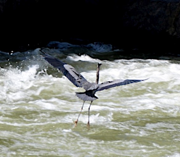 Lin and Michael's Photos