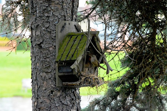 Lin and Michael's Photos