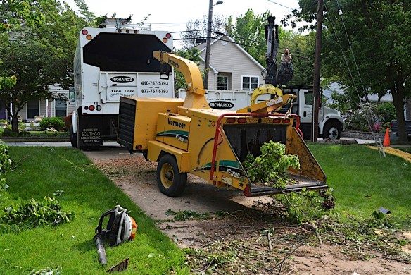 Lin and Michael's Photos