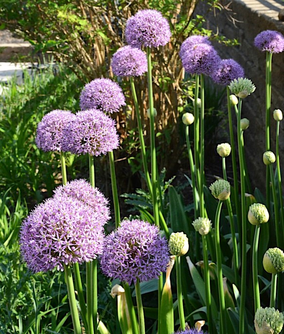 Lin and Michael's Photos