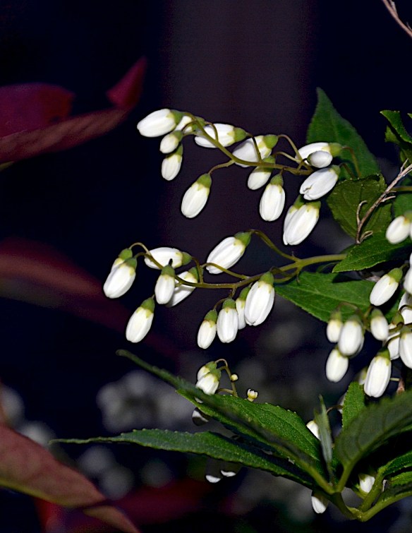 Lin and Michael's Photos