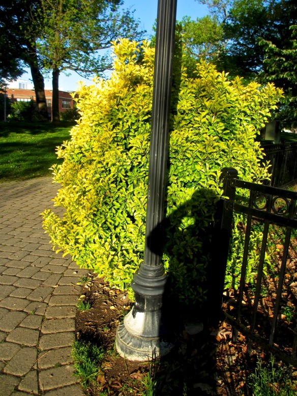 Lin and Michael's Photos